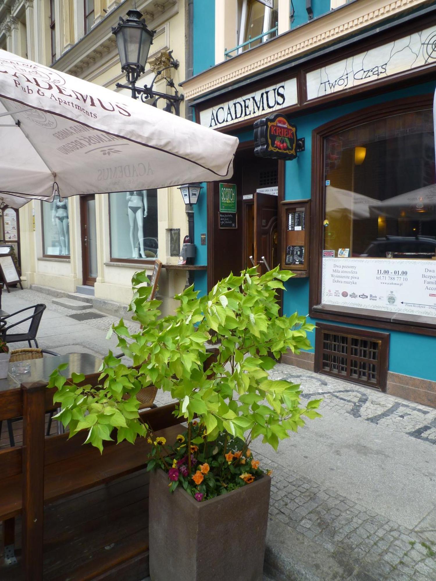 Academus Pub & Guest House Wrocław Exterior foto